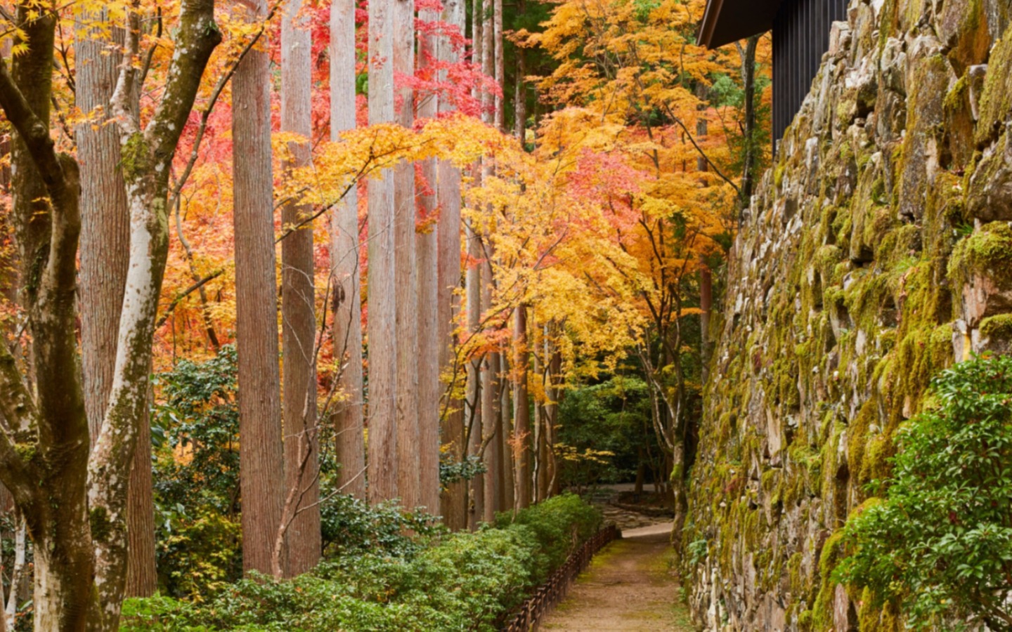 Paisagismo no Aman Kyoto Resort (Japão)