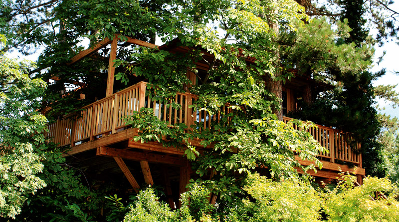treehouse suite -Meisters Hotel Irma