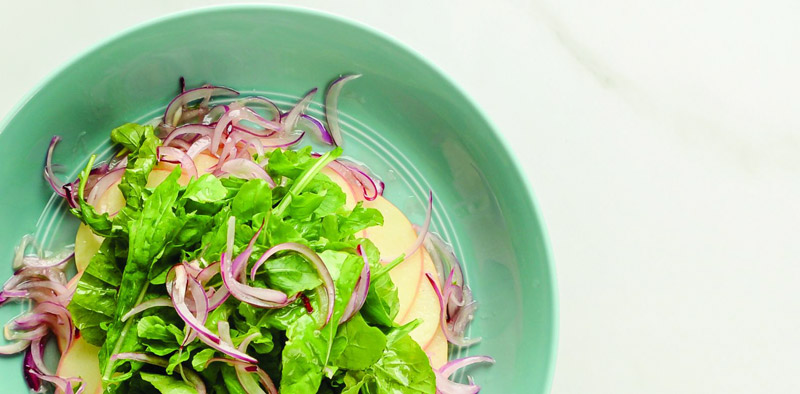 Rockwell Glasshouse harlan + holden