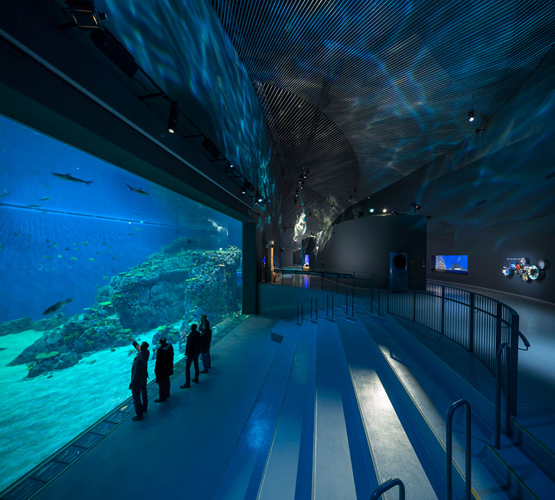 Blue Planet - O maior e mais moderno aquário da Europa, dona arquiteta