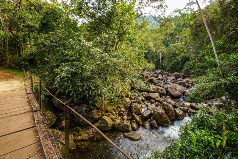 rituaali_natureza_007 Spa Rituaali, um refugio no meio da Mata Atlântica em Penedo.