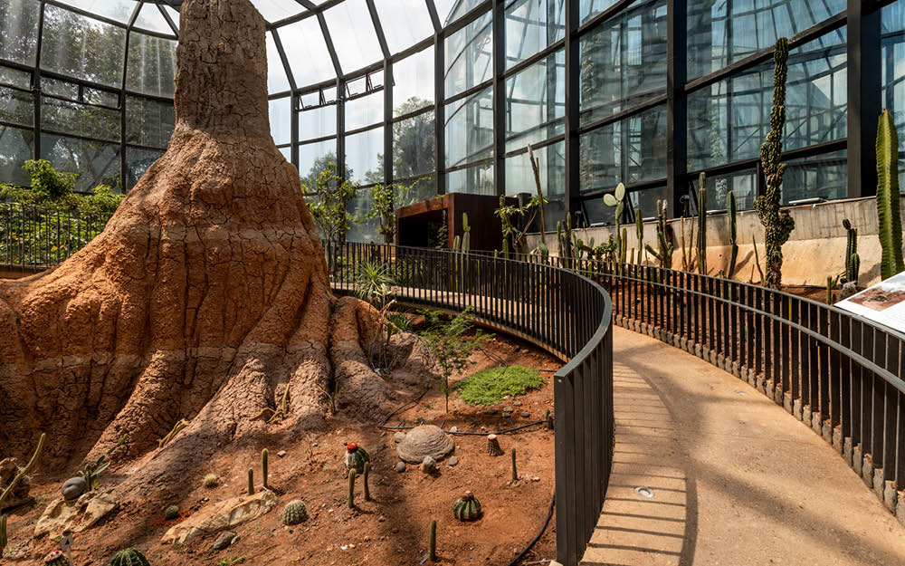 dona-arquiteta-el-tropicario-bogota-14 El Tropicário: arquitetura como manifesto pela biodiversidade