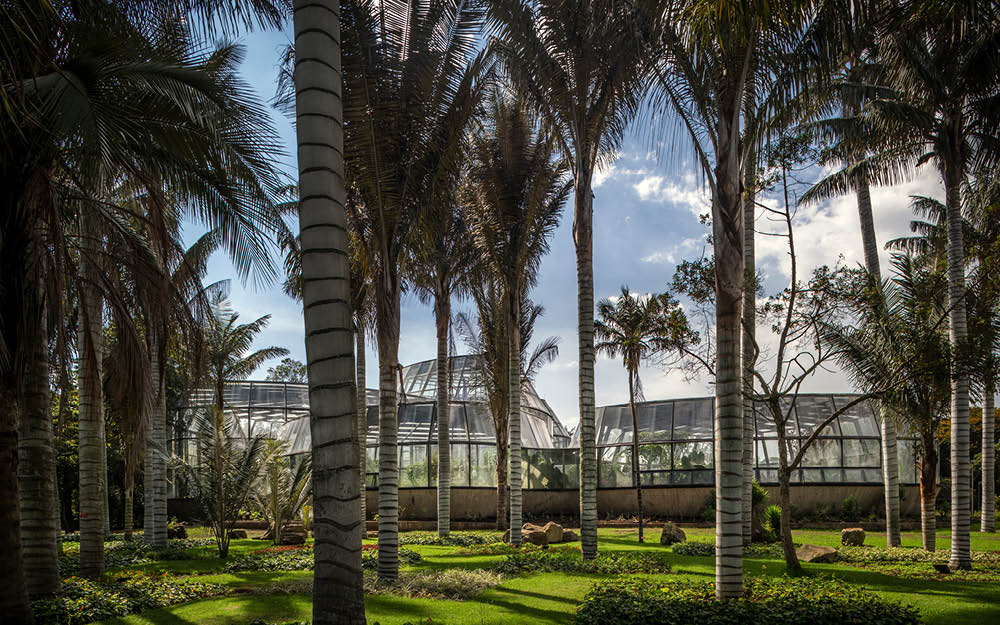 dona-arquiteta-el-tropicario-bogota-5 El Tropicário: arquitetura como manifesto pela biodiversidade