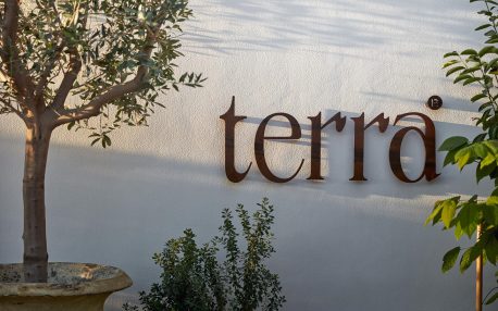 Terra Eatery: novo restaurante em Dubai é um oásis em meio a agitação urbana da cidade
