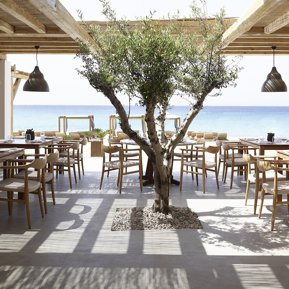 Branco restaurante Branco, restaurante