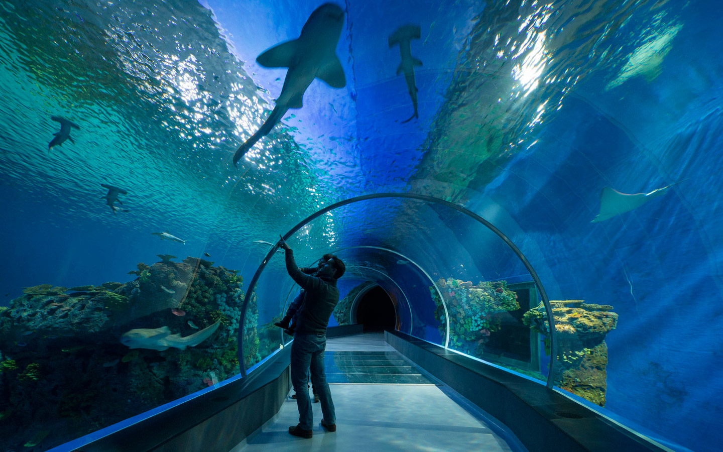 VIAJAR: COPENHAGUE Blue Planet – O maior e mais moderno aquário da Europa! BLUE PLANET – O MAIOR E MAIS MODERNO AQUÁRIO DA EUROPa