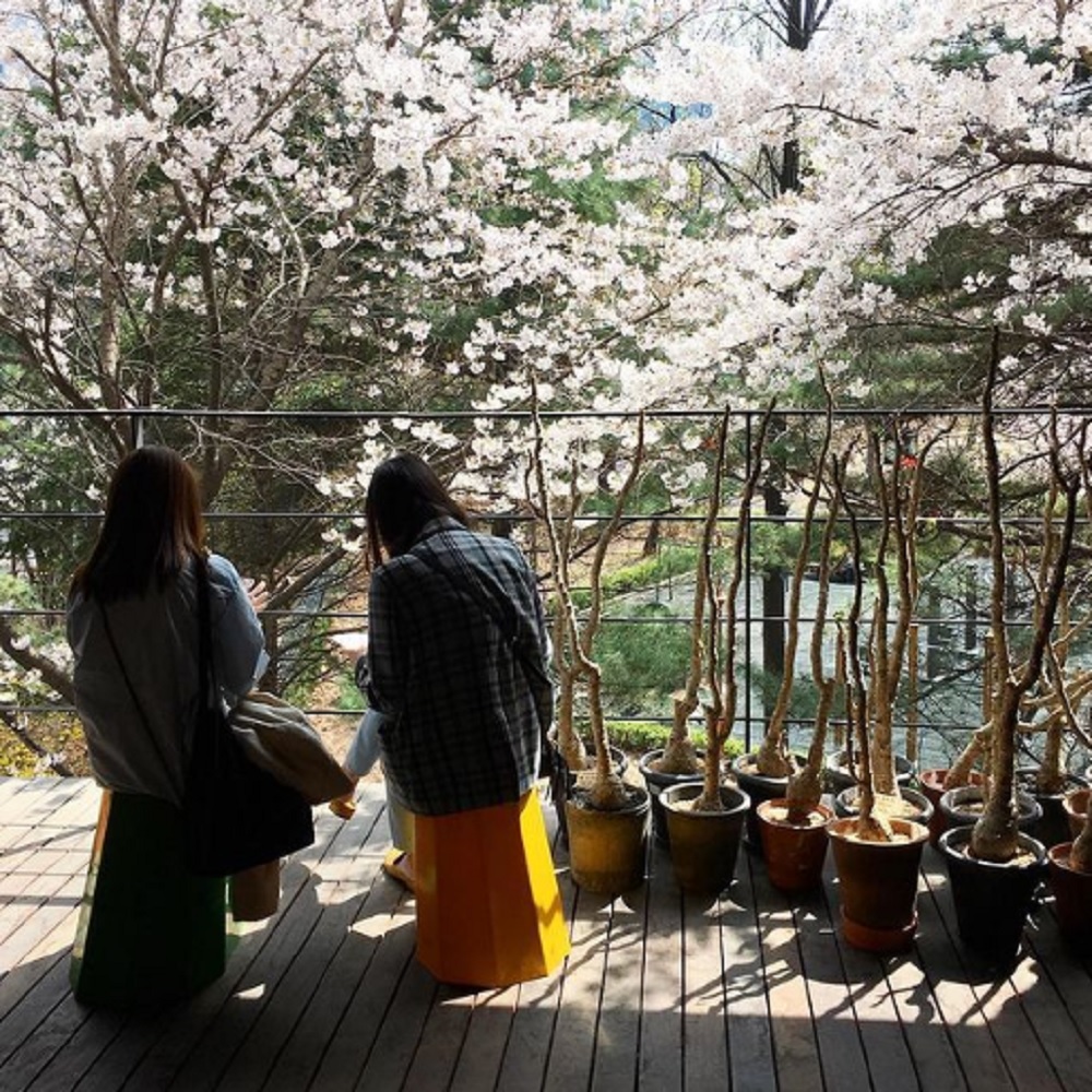 2 mulheres sentadas de costas para a foto, conversando. Ao fundo algumas plantas, em um belo dia ensolarado.