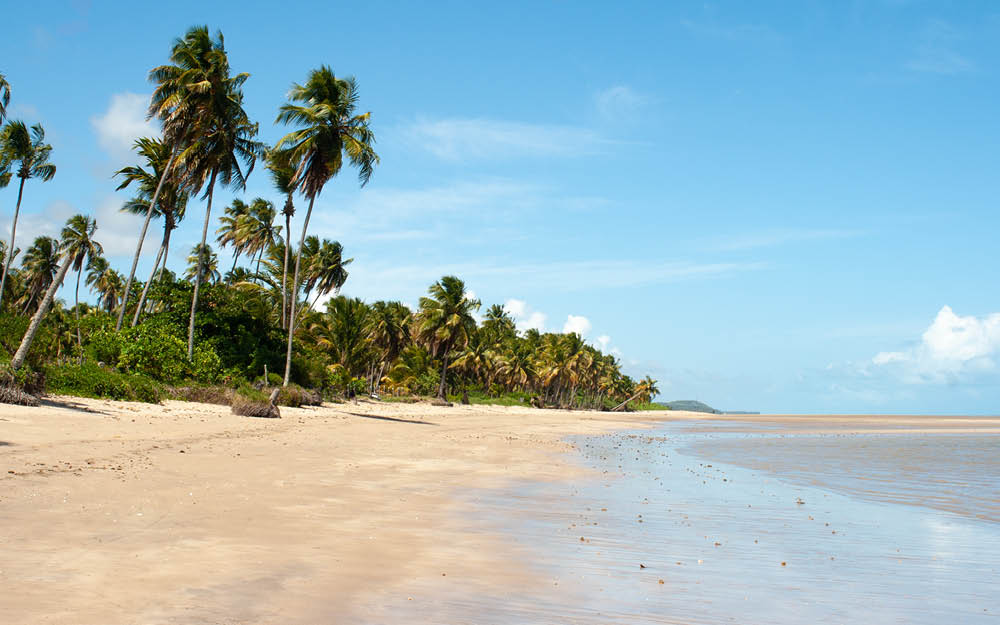 Praia do Patacho, em São Miguel dos Milagres, no Estado de Alagoas, Brasil