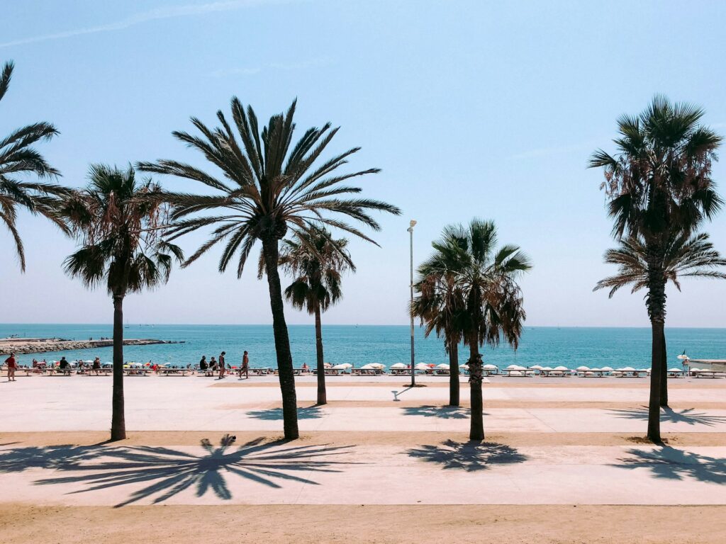 vista praia Barcelona, com tamareiras e palmeiras, guarda sois brancos, céu azul, dicas de barcelona