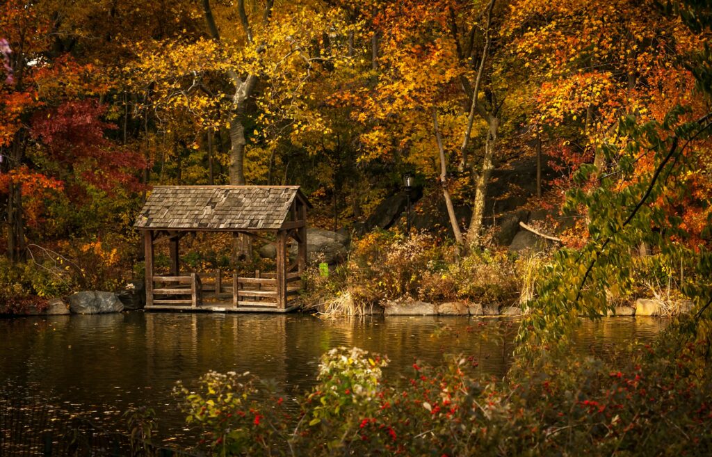 dicas de nova york, outono, central parque lago com árvores no outono
