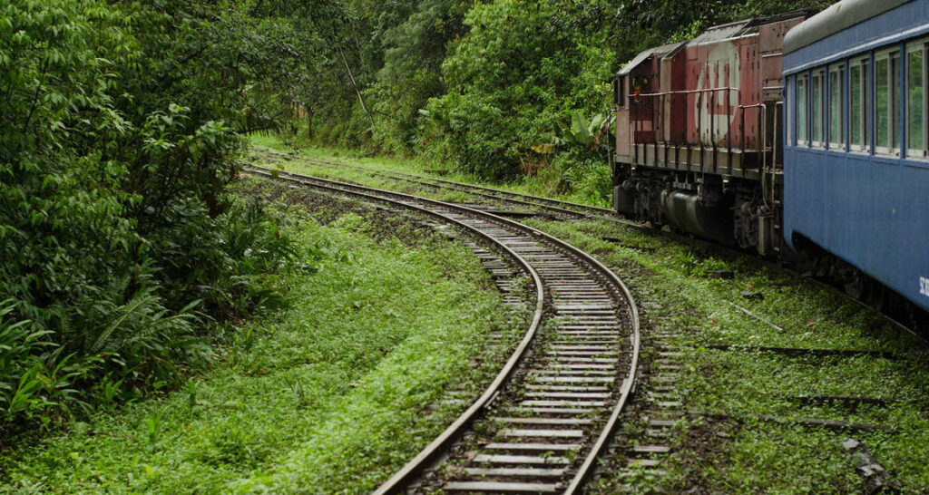 Trem no Caminho do Vinho, rota vinícola em Morretes para aproveitar o inverno no Paraná