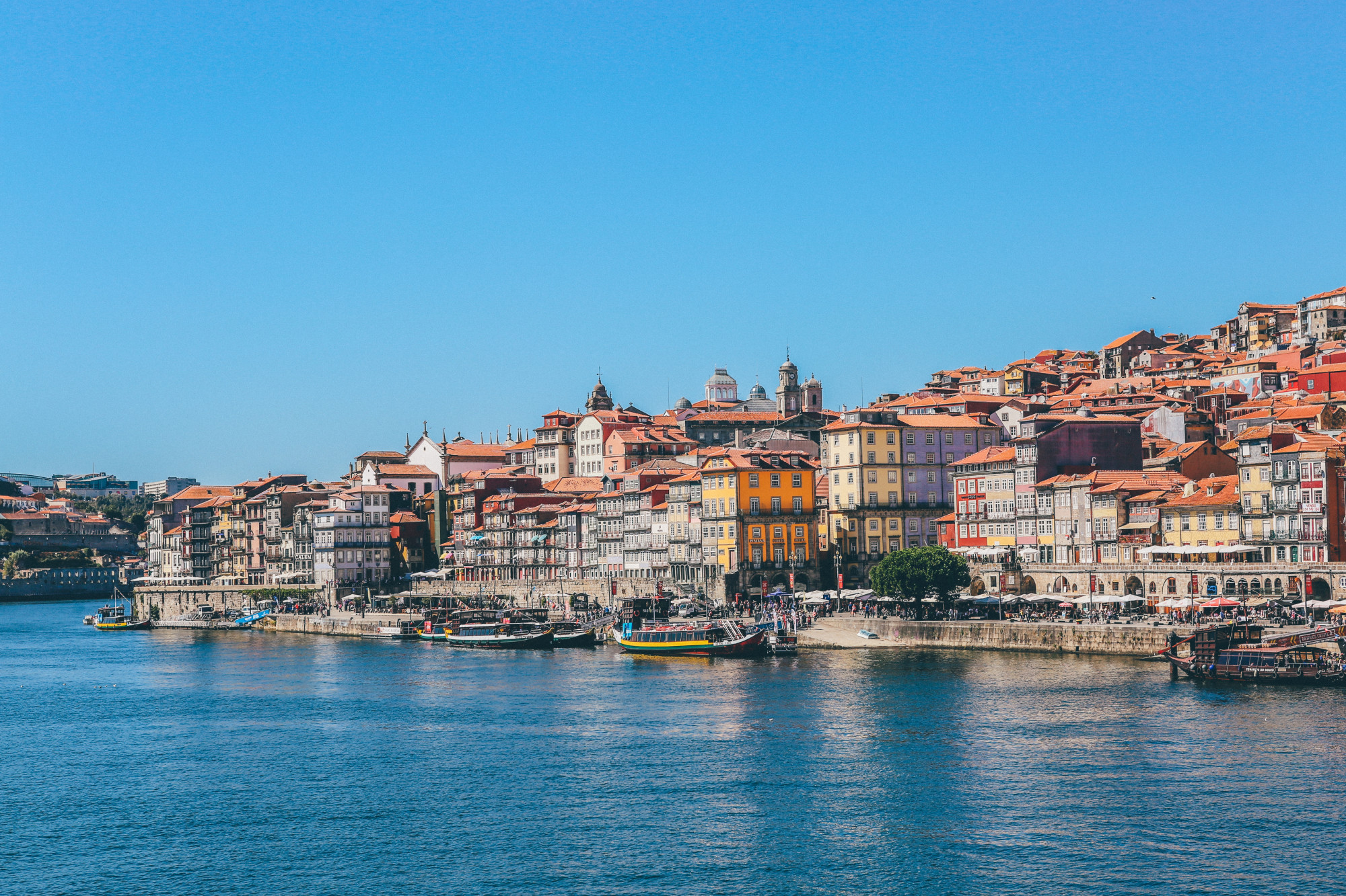 Saiba onde comer em Porto e os melhores restaurantes da cidade