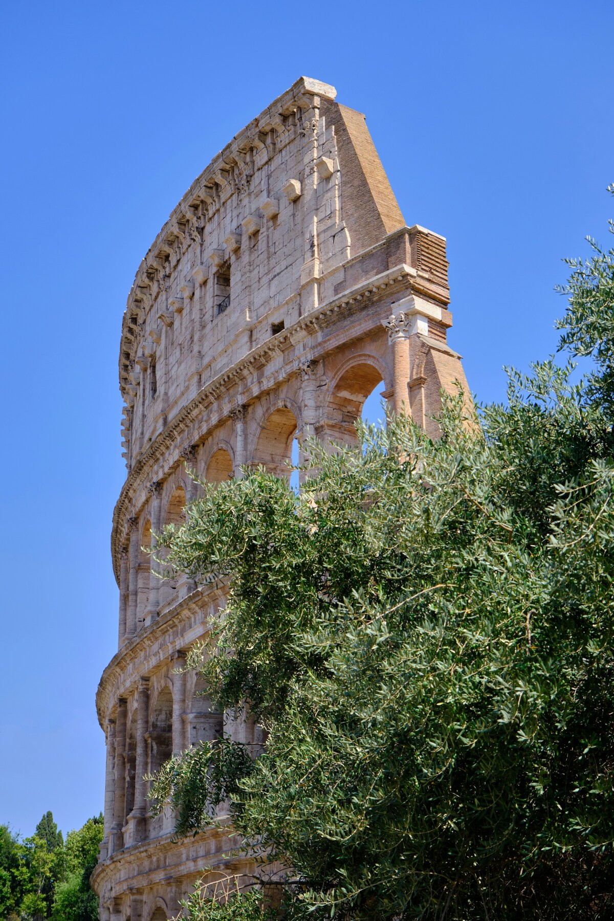 Coliseu, Roma