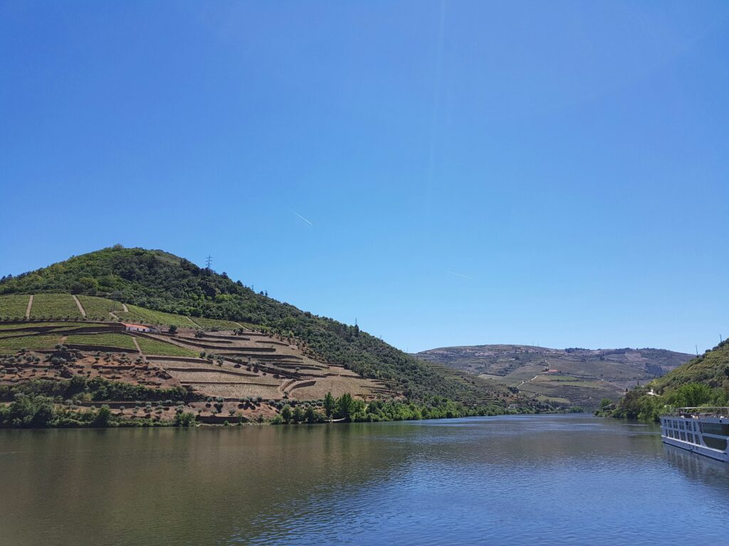 Vinhedos e rio douro 