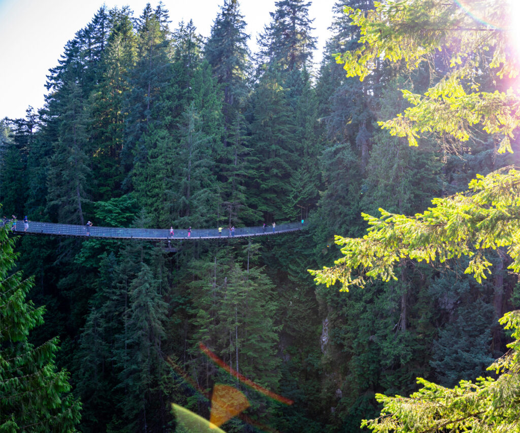 Capilano Suspention Bridge com a floresta no fundo 