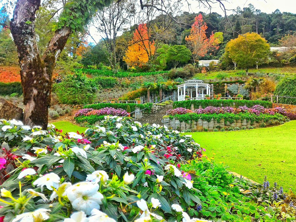 Rota do vinho em Gramado