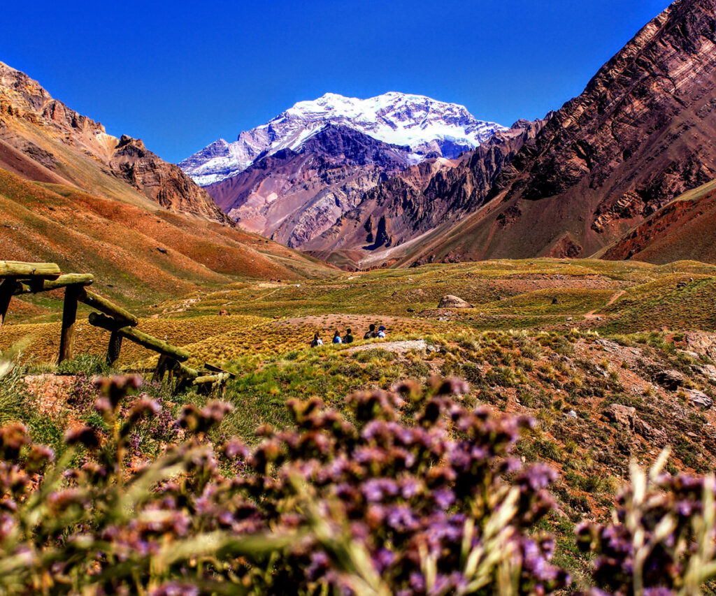 Paisagem de mendoza, grama, flores e montanhas