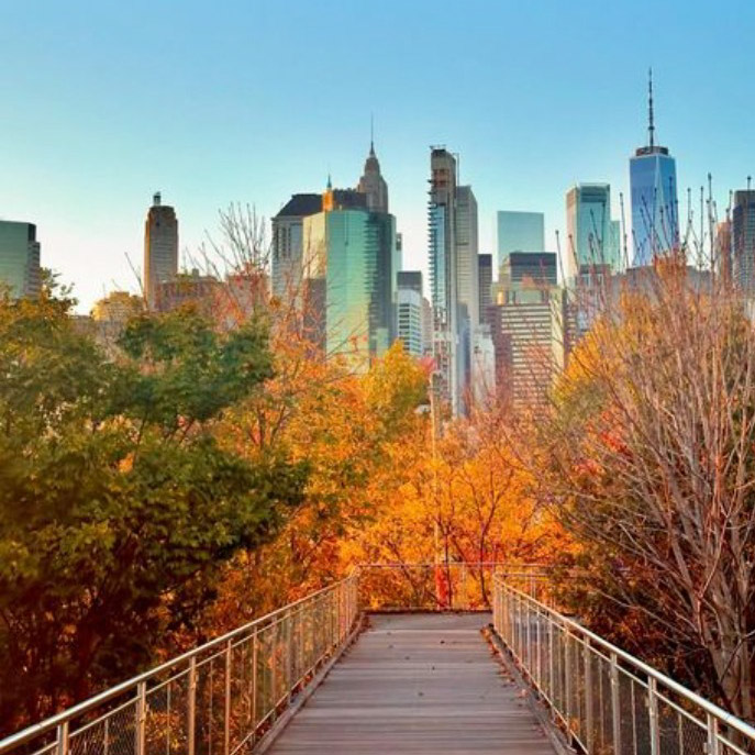 brooklyn