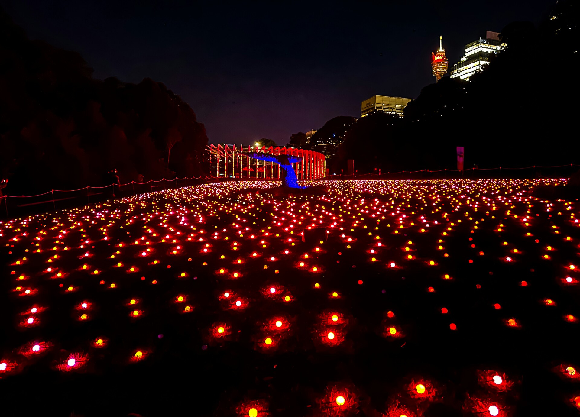 Festival da luz pelo mundo: cidades onde a luz é o show