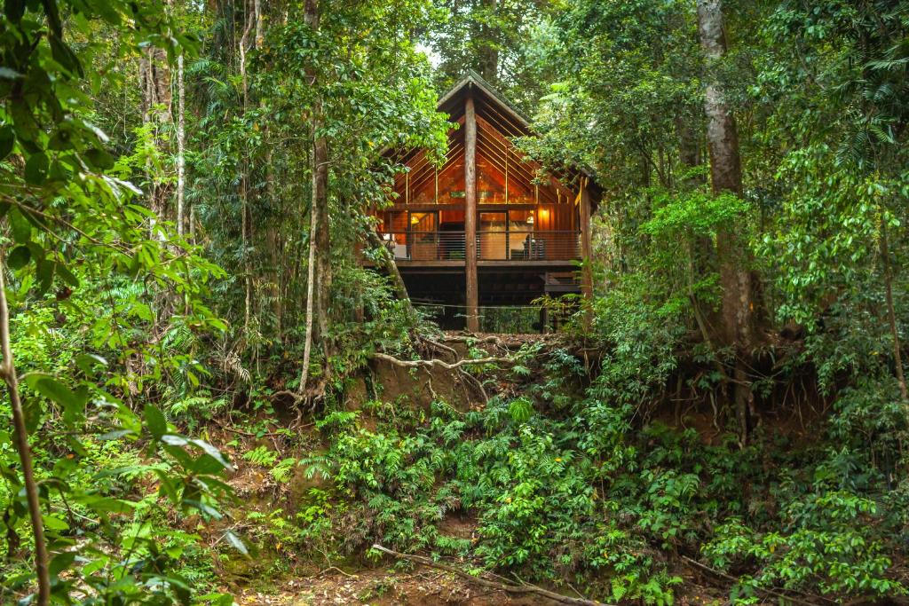 Tree house Hotel Canopy Rainforest 