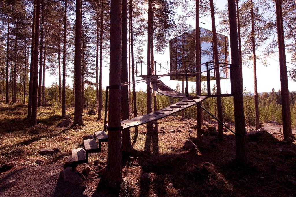 Mirrorcube tree house hotel espelhada 