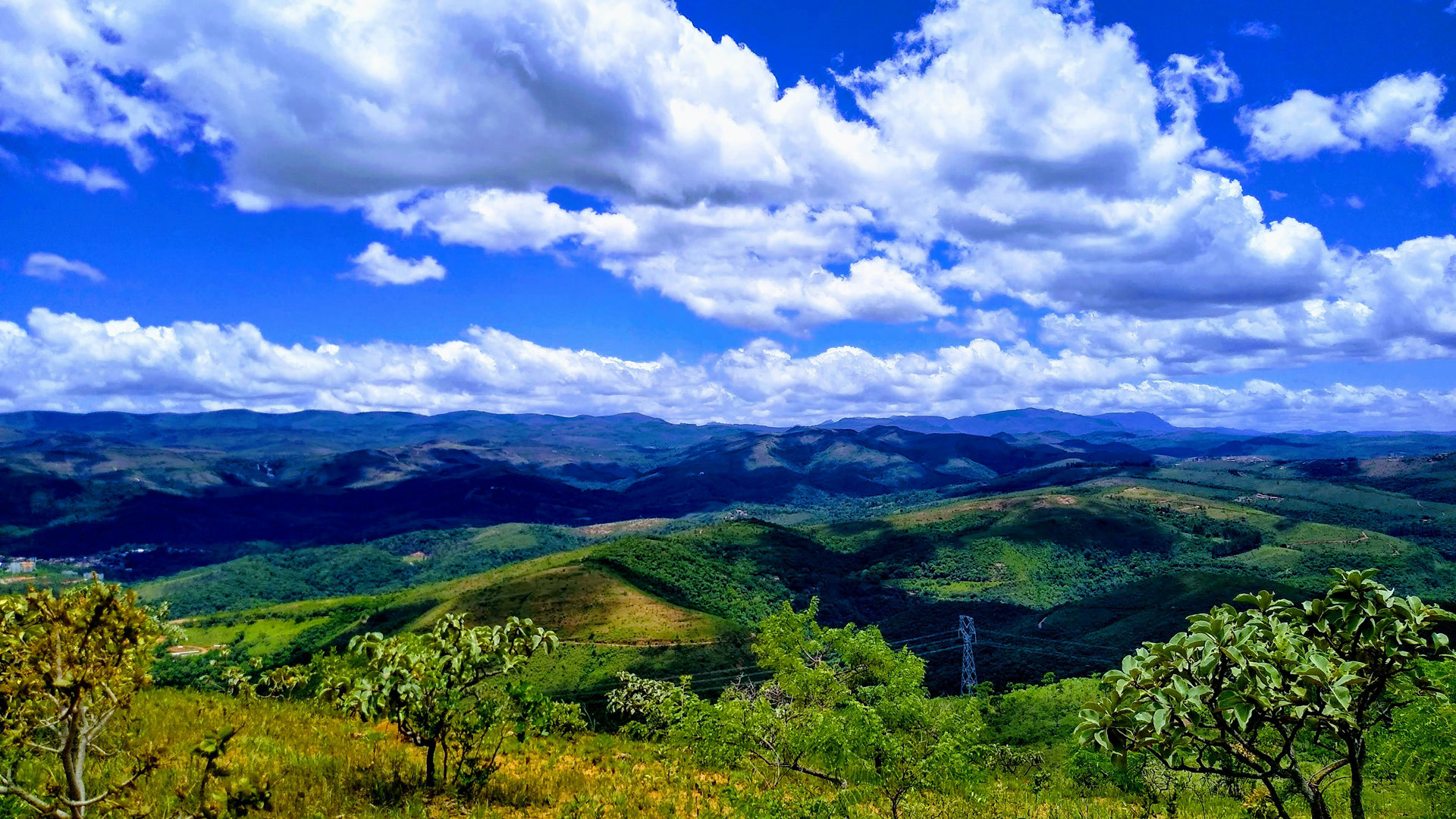 Monte Verde