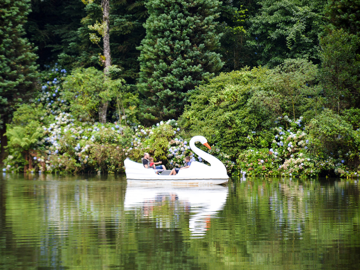 Pedalinhos de cisne no Lago Negro, atração turística da cidade de Gramado - Rio Grande do Sul (Brasil) - fotografia de Paulo Hulyk