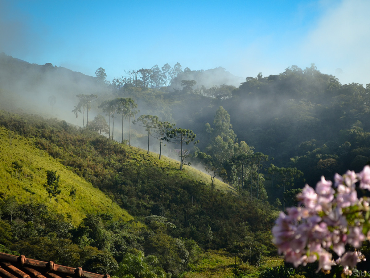 Serra sob neblina em Santo Antônio do Pinhal, fotografia de Gabriela Sakamoto