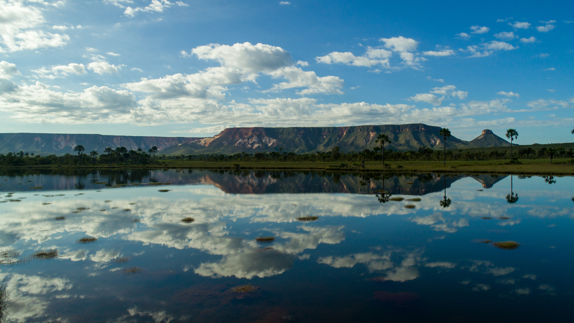 Tocantins