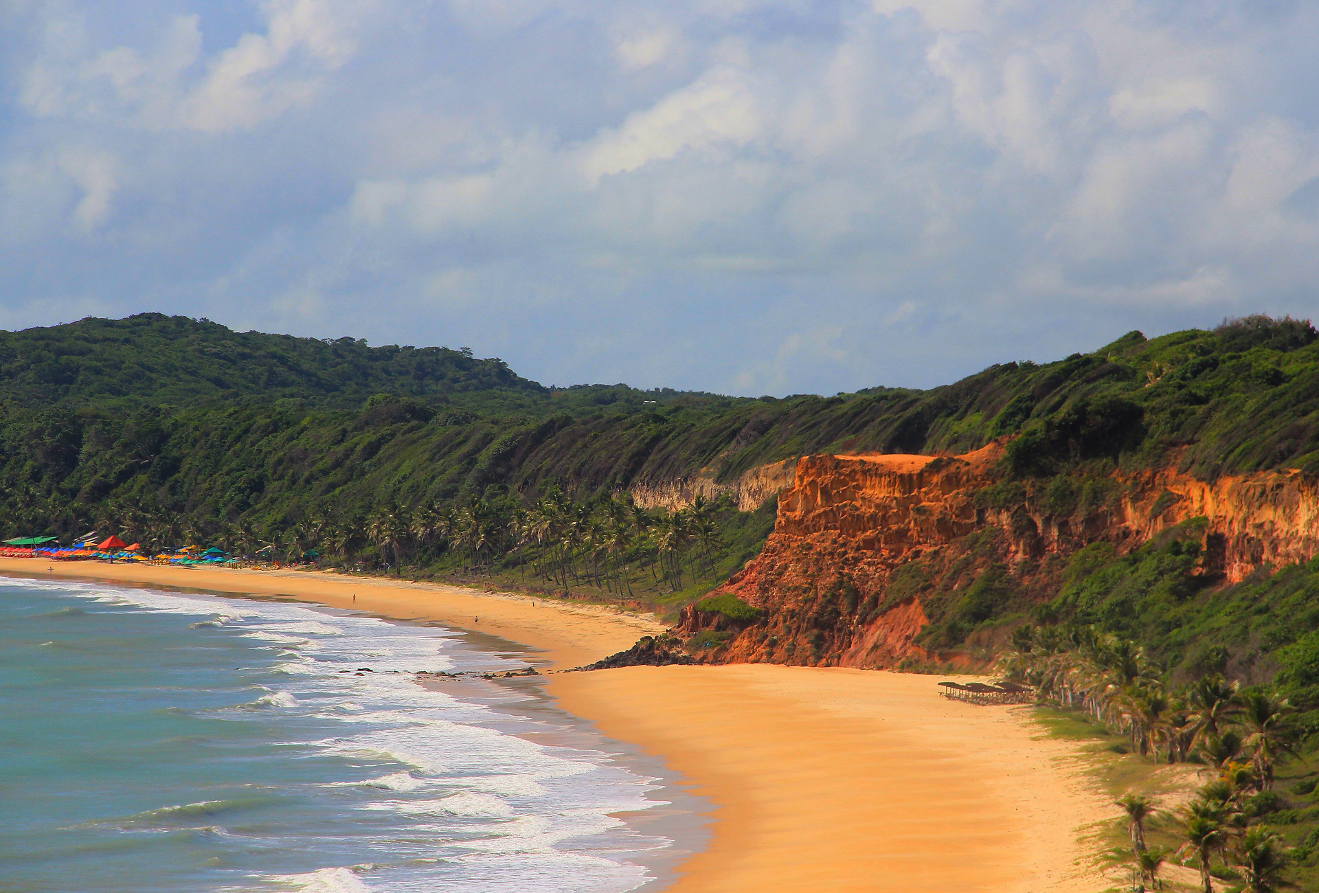 Baía dos golfinhos vista de cima