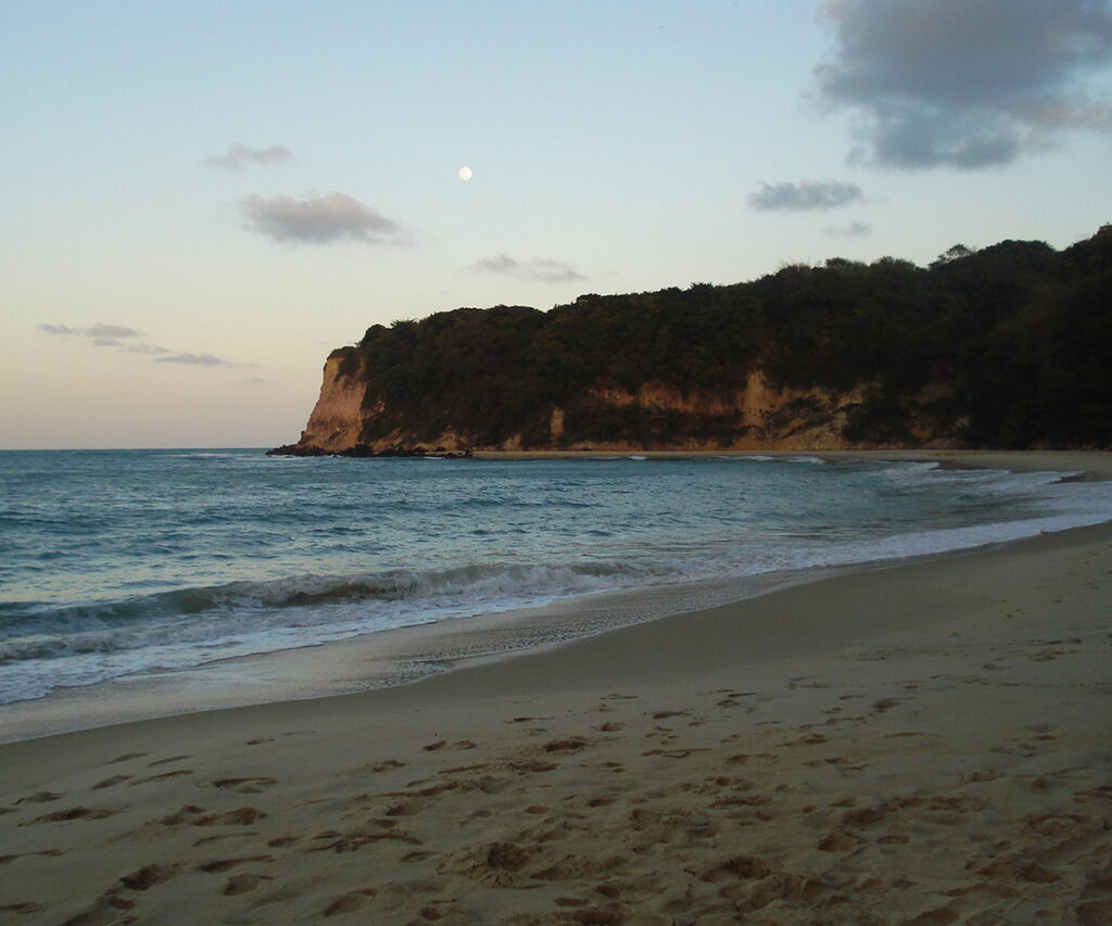 Praia do madeiro
