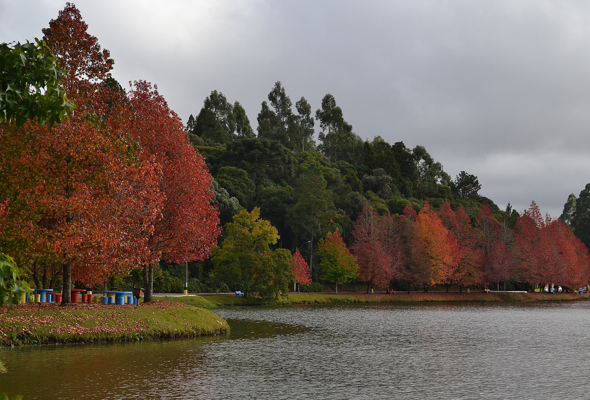 Lago de São Francisco de Paula cercado por árvores