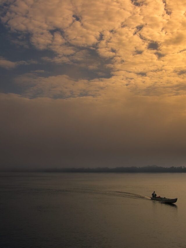 Amazônia: Ilhas, Floresta e Luxo no Anavilhanas Lodge