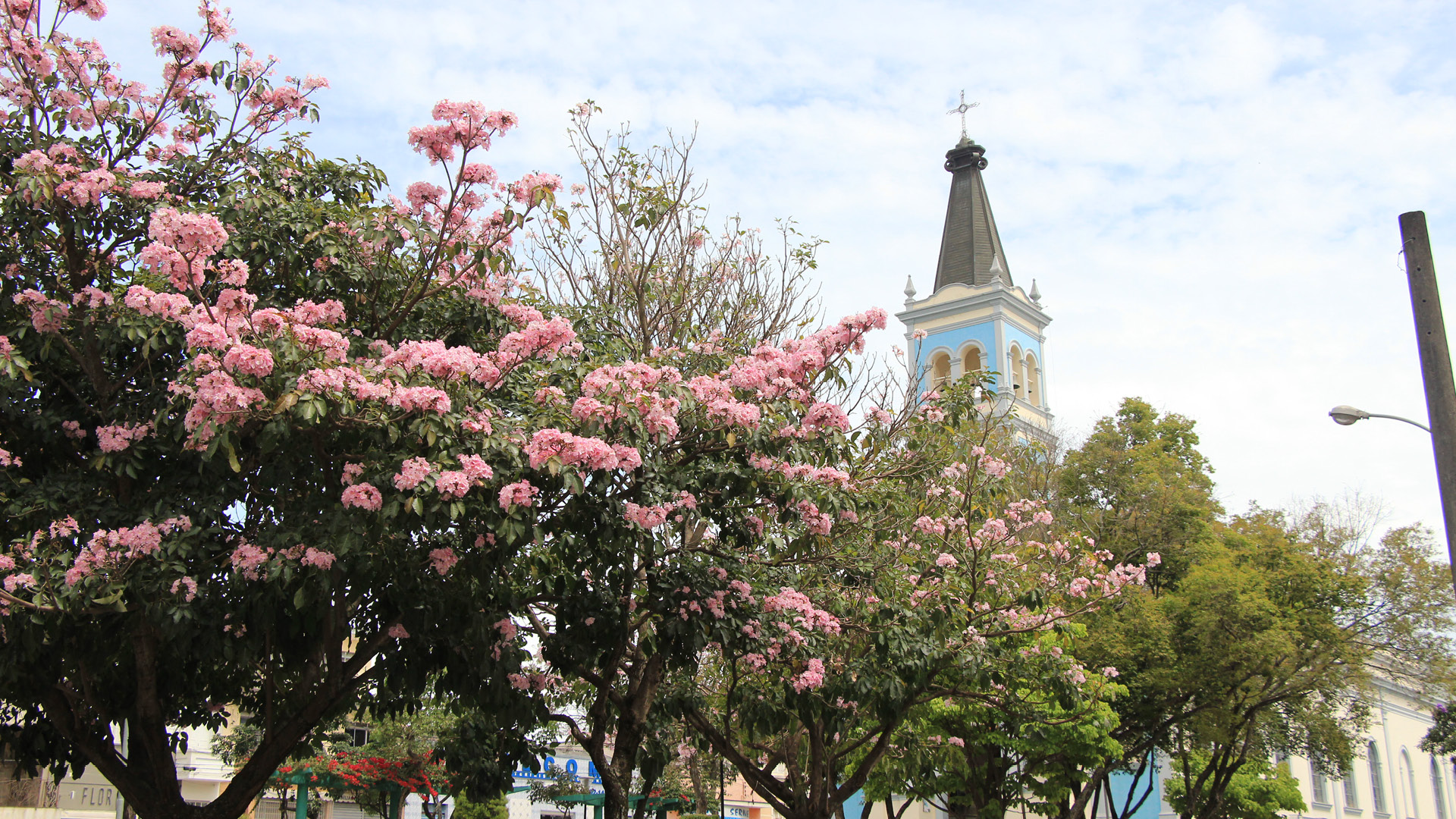 Serra Negra