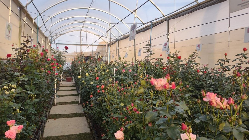 Park Vitrine das Flores