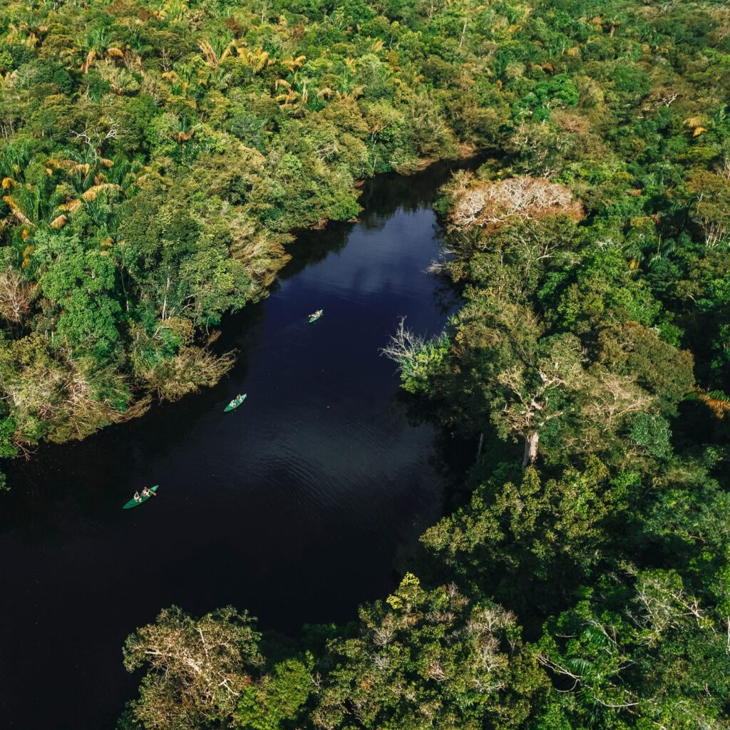 A imagem mostra um passeio de canoa a remo pelo entorno do Anavilhanas Jungle Lodge, permitindo explorar igarapés e áreas de mata alagada com tranquilidade, sempre acompanhado de guias locais. A cena é cercada por uma exuberante vegetação e água calma. Viagem para a amazonia