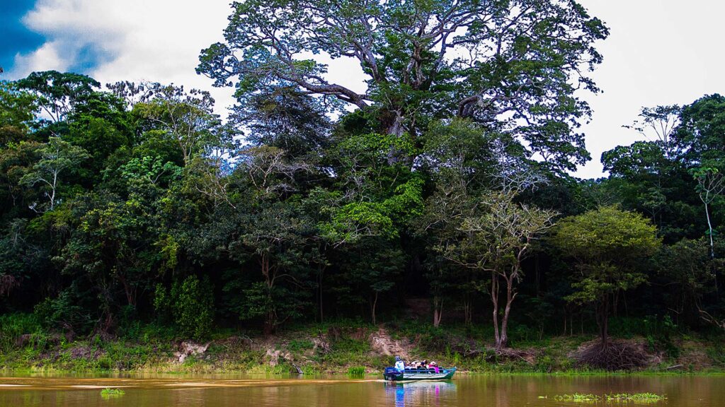 A imagem retrata uma cena serena de uma floresta amazônica densa com árvores altas e exuberantes. Um barco com pessoas é visto flutuando no rio Juma, cercado por vegetação luxuriante e árvores imponentes. O céu está parcialmente nublado, adicionando um toque dramático à cena.