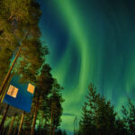 A imagem captura uma cena noturna serena em uma floresta sueca, onde uma aurora boreal vibrante ilumina o céu com tons de verde e azul. No primeiro plano, uma cabana moderna com uma fachada de vidro reflete a luz da aurora, destacando-se entre as árvores. A cabana está aninhada entre pinheiros altos, criando uma atmosfera tranquila e conectada à natureza.