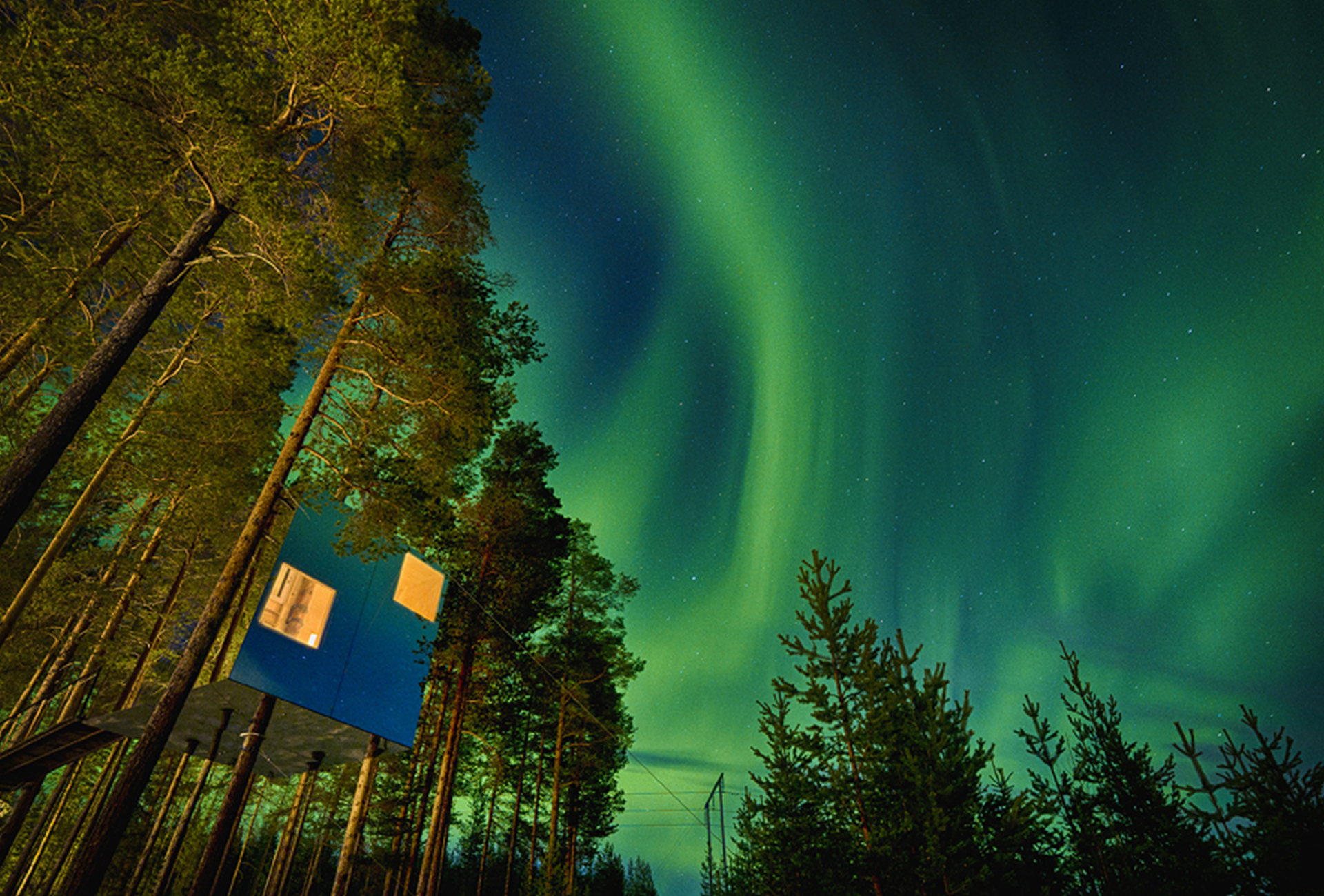 A imagem captura uma cena noturna serena em uma floresta sueca, onde uma aurora boreal vibrante ilumina o céu com tons de verde e azul. No primeiro plano, uma cabana moderna com uma fachada de vidro reflete a luz da aurora, destacando-se entre as árvores. A cabana está aninhada entre pinheiros altos, criando uma atmosfera tranquila e conectada à natureza.