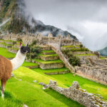 A imagem mostra uma llama em Machu Picchu, Peru, com ruínas antigas e montanhas ao fundo. A paisagem é verdejante e nublada, destacando a beleza natural e histórica do local.