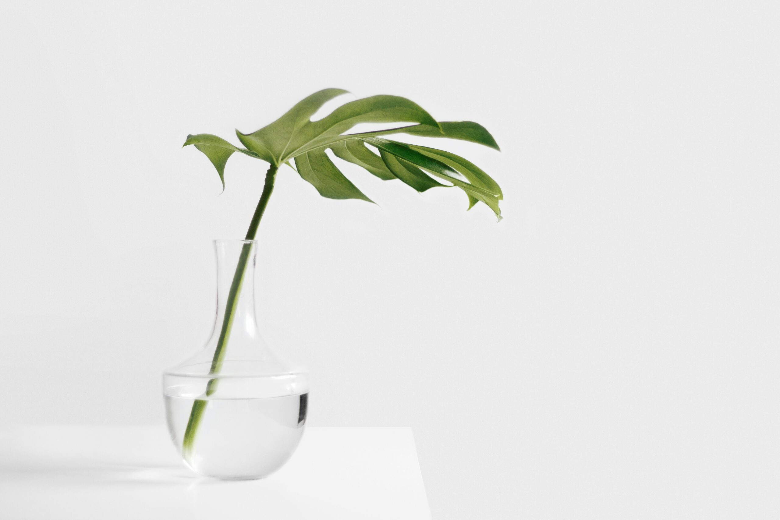 Decoração minimalista: como aplicar no design de interiores?