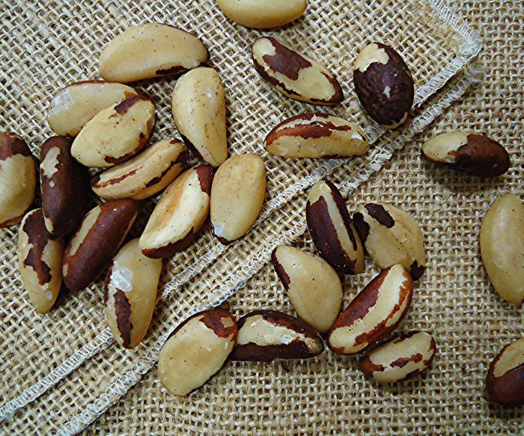 A imagem apresenta várias castanhas-do-Pará espalhadas sobre uma superfície de rede. As castanhas são de cor marrom clara com tons mais escuros, e algumas estão quebradas, revelando o interior. A superfície de rede parece ser feita de um material natural, possivelmente juta ou um material similar.