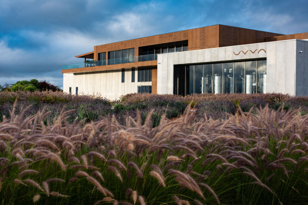 Vinícola Uvva na Bahia, arquitetura minimalista com vegetação