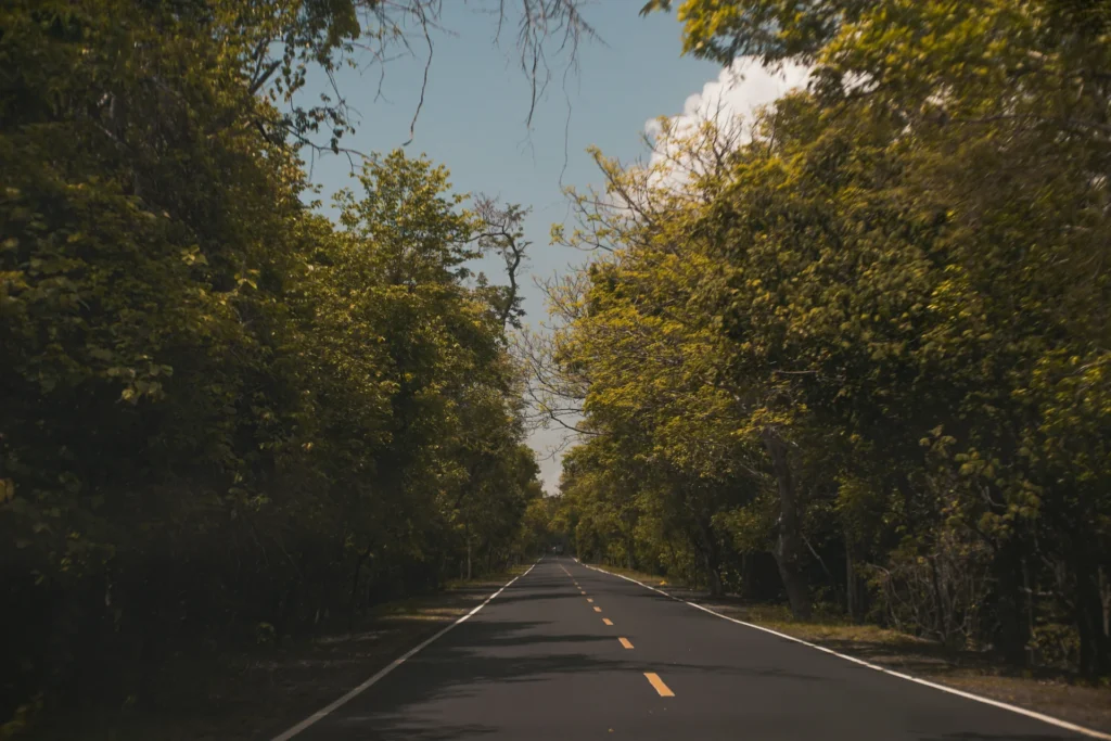 Aluguel de carro para viagem inter estadual em uma estrada arborizada e tranquila.