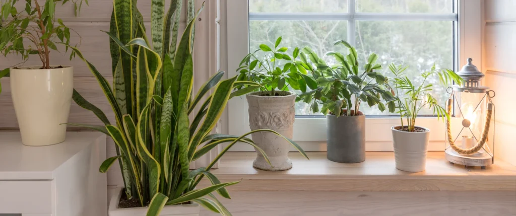Plantas na decoração de janela com vasos variados em ambiente moderno e claro.