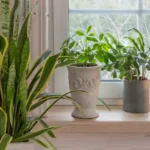 Plantas na decora&ccedil;&atilde;o de janela com vasos variados em ambiente moderno e claro.