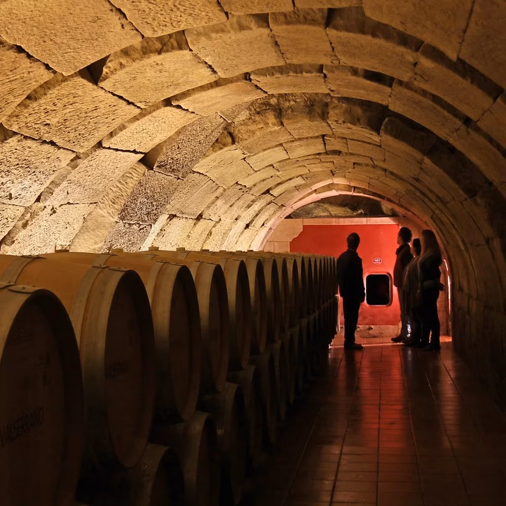 Túnel de vinificação em Bodegas La Marquesa: barris de madeira e arco de pedra, ambiente industrial e elegante para enoturismo