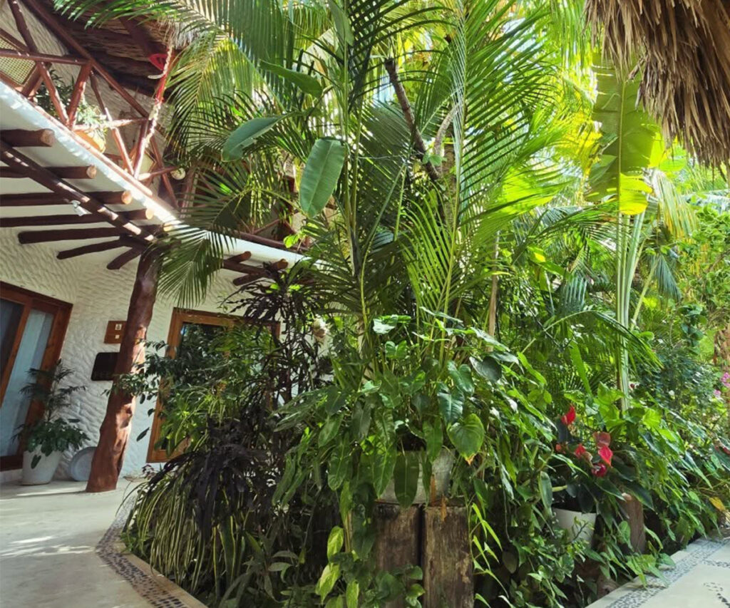 área interna do el corazon