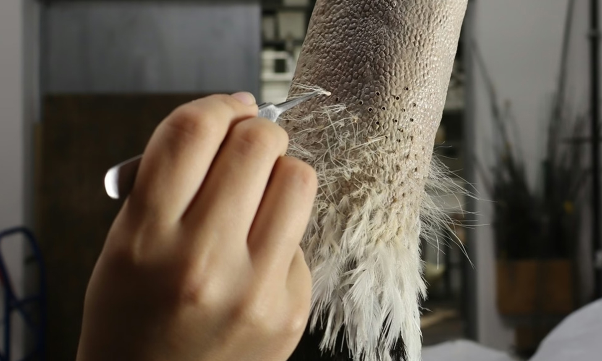 artefato do museu da história natural