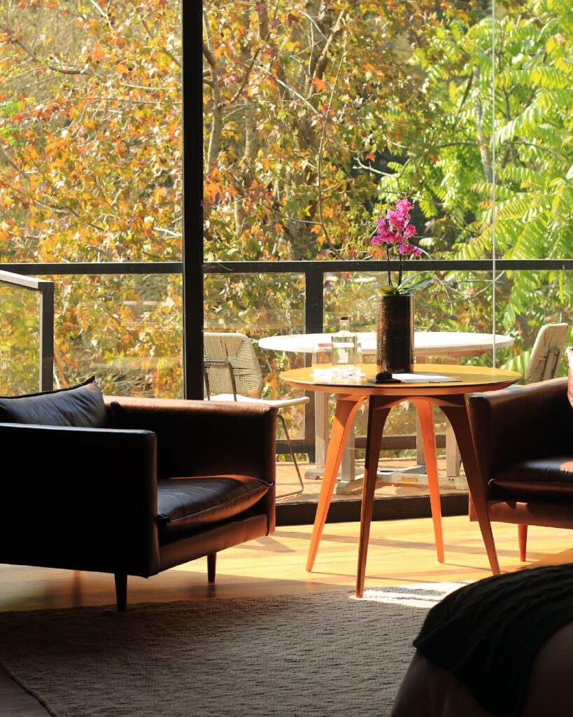 Poltronas de couro junto à janela com vista para árvores, compondo um relaxante refúgio para a páscoa.
